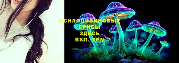 молекула духа Новозыбков